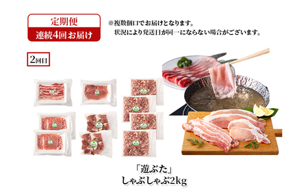 定期便 全4回 遊ぶた 堪能食べ比べセット 放牧豚 豚肉