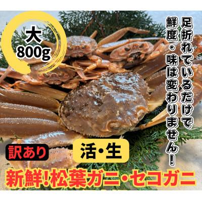 ふるさと納税 岩美町 鳥取網代港【訳あり】活!松葉ガニ・セコガニセット(大)【さかなや新鮮組】
