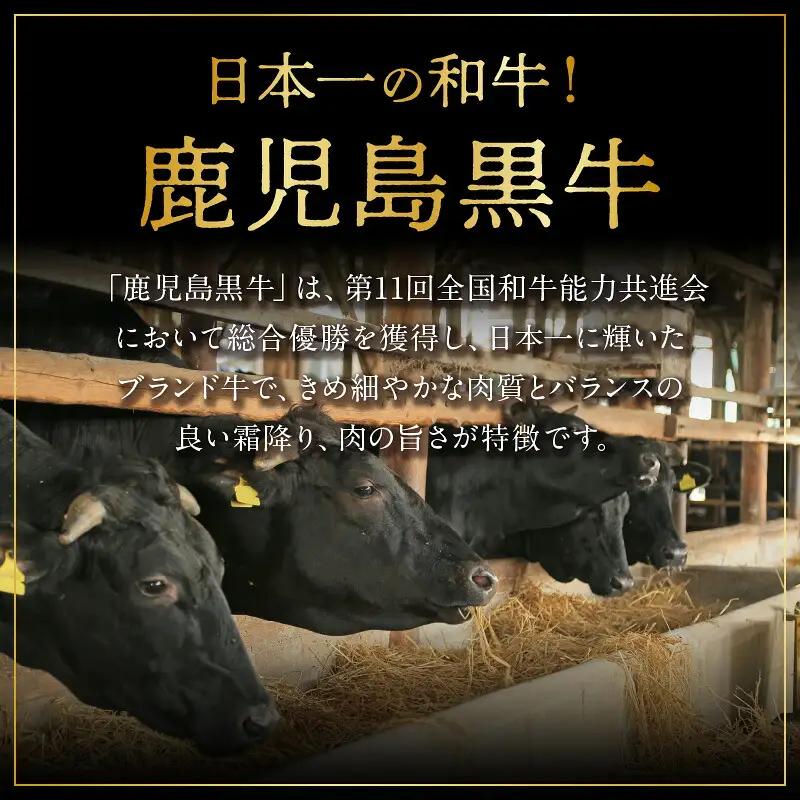 鹿児島黒牛 食べ比べ （ リブロース ・ モモ ） セット （A-3501） W032-005u 肉 牛肉 冷凍