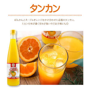 オレンジ園の濃縮ジュース タンカン 500ml 3本 3回定期便 希釈用【J00107】