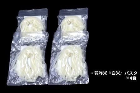 [HM002] 【無農薬】能登のこだわり自然栽培こしひかり 羽咋米を使った米粉のパスタ麺【白米麺×４】