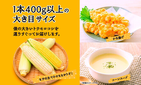 とうもろこし イエロー ＆ ホワイト 2種 食べ比べ 恵味ゴールド 白い恵味 400g以上 各6本 計12本 野菜 おやつ 旬 産地直送 送料無料 湖南野菜出荷組合 山梨県 富士河口湖町