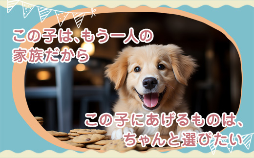 ペットフード 5種 セット 国産 鶏がゆ 砂肝のうま煮 ボイルチキン 鶏ハンバーグ 猪つみれ 人と一緒に食べられる 保存料不使用 | ペットフード 犬 猫 ごはん 高麗人参 鶏がゆ 砂肝 ボイルチキン
