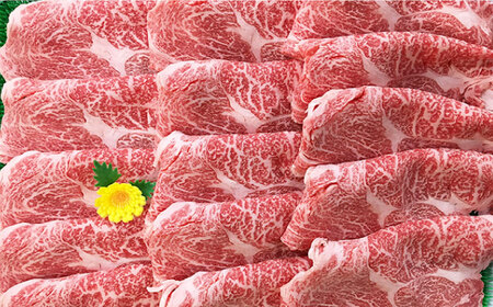 【全6回定期便】五島牛 焼肉・すき焼き用肩ロース600g 牛肉 長崎和牛 薄切り 五島市 / ニク勝 [PBF017]