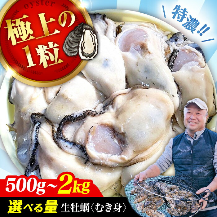 【ふるさと納税】牡蠣 むき身 高品質の牡蠣を産地直送！ 【生牡蠣】【着日指定可能】 『てつまるかき』加熱用 魚介類 海鮮 牡蠣 むき身 冷凍 かき カキフライ カキ ギフト 広島県産 人気 送料無料 江田島市/有限会社テツマル海産[XCO001]