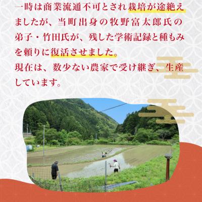 ふるさと納税 佐川町 薫る神様のお米 想い札付 3合×3袋(桐箱入) 奉納米 香り米 ふさなり(毎年10月中旬以降発送) |  | 02