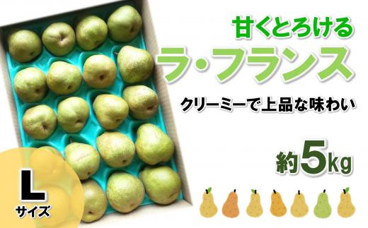 【令和7年産先行予約】 ラ・フランス 約5kg  (19玉 Lサイズ) 《令和7年11月上旬～発送》 『田口農園』 ラフランス 西洋梨 洋なし 果物 フルーツ デザート 山形県 南陽市 [1295-R7]