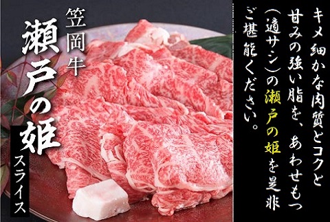 瀬戸の姫（スライス）《45日以内に出荷予定(土日祝除く)》---B-08---