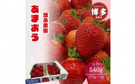 【2026年1月下旬発送開始】増永農園のあまおう270g×2パック