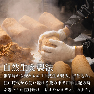 【25年ものねさし味噌】 味噌 1個 25g ねさし味噌 自然生え製法 味噌