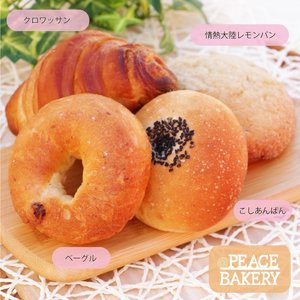 お試し かぼちゃ 食パン 1本 おまかせ パン 1種 5000円 国産 こだわり 国産 素材 冷凍 セット 食パン クロワッサン ベーグル レモン あんぱん オーガニックレーズン 天然酵母 有機全粒粉