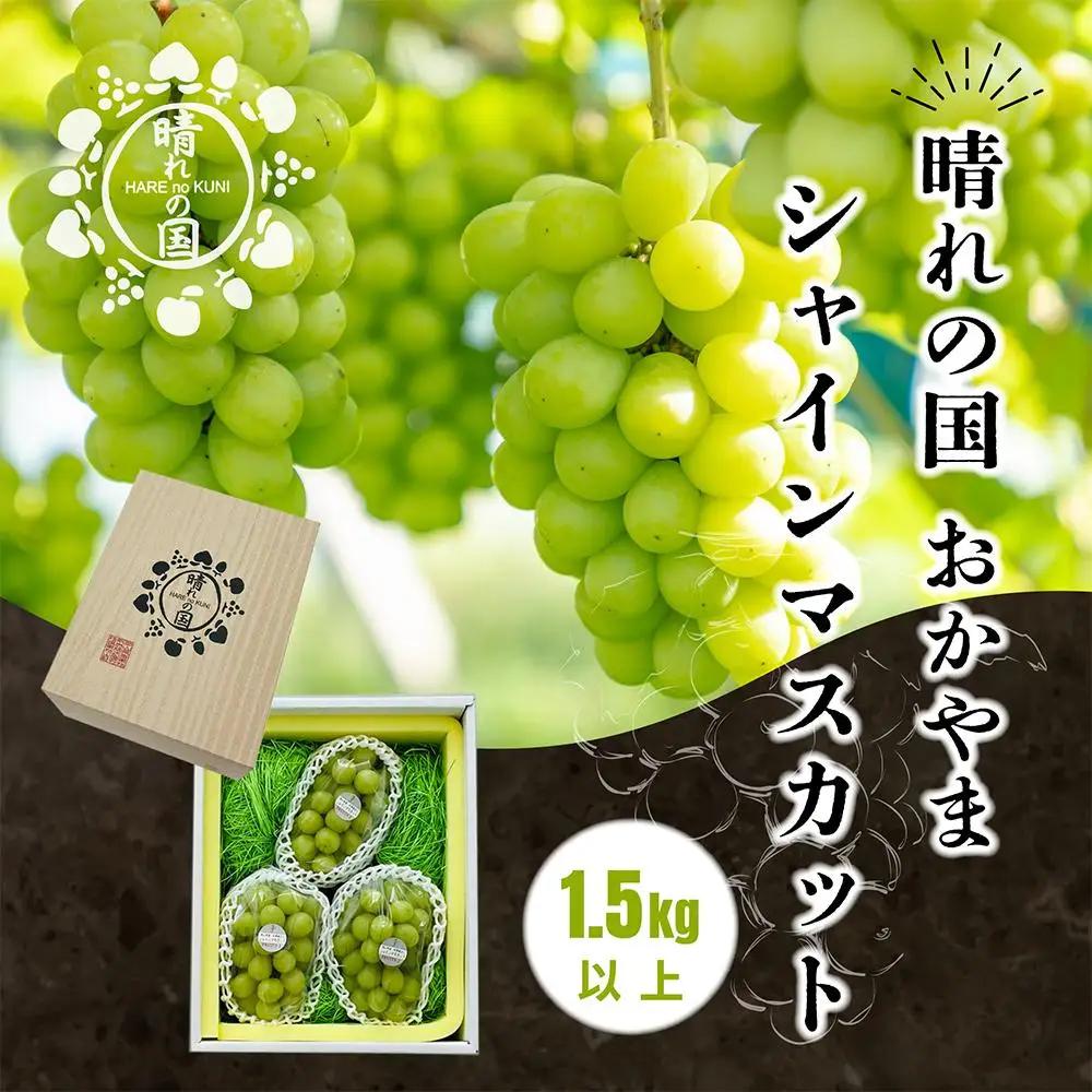 【先行予約 秋季 2026年9月上旬発送～】岡山県産シャインマスカット 1.5kg（2～3房）【021-a020】