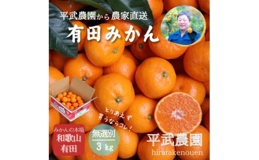 
                  農家直送！有田みかん（3kg 無選別≪秀品･訳あり品･サイズ混合≫）平武農園　～蛍飛ぶ町から旬の便り～
                