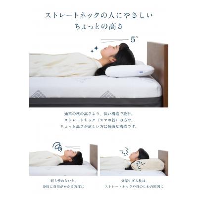 ふるさと納税 幸田町 【期間限定 幸田町大感謝祭】エアウィーヴ ピロースリム “みな実のまくら” 枕 寝具 低め |  | 02