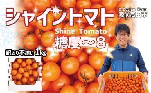 【12/21までの期間限定】 訳あり 『シャイントマト』 1kg (1000g) 品種：ちばさんさん 【 甘い フルーツトマト β-カロテン ビタミンC 豊富 アイメック 次世代農法 まるでフルーツ 食べると思わず目が輝くことから名付けた「シャイントマト」】 【202512_年内発送】果物 RT1838