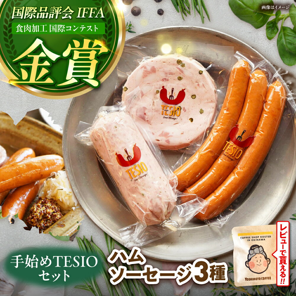 【ふるさと納税】TESIOの自家製 ハム ＆ ソーセージ 『手始めTESIOセット』 豚肉 小分け 真空パック 詰め合わせ ウインナー 沖縄市 / TESIO [BCAD001] セット・詰め合わせ 手作り ▼ 年末年始 年末 年越し お正月