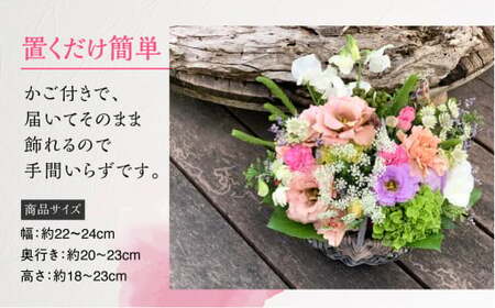【定期便】 3回 季節のフラワーアレンジメント定期便 かご付 生花