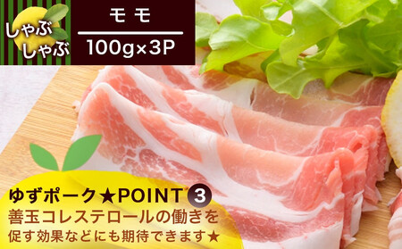 【敬老の日】全部真空小分け!都城産豚「ゆずポーク」のしゃぶしゃぶ700g(ゆずたれ付き)≪9月11日～15日お届け≫_AA-1411-KG_(都城市) 都城産豚 ゆずポーク 真空パック ロース バラ 