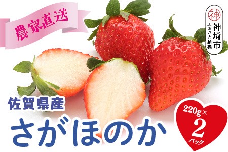【R8年1月より発送 農家直送】【農家直送】さがほのか220g×2パック【いちご 苺 イチゴ 果物 フルーツ スイーツ デザート ふるさと納税】(H117101)