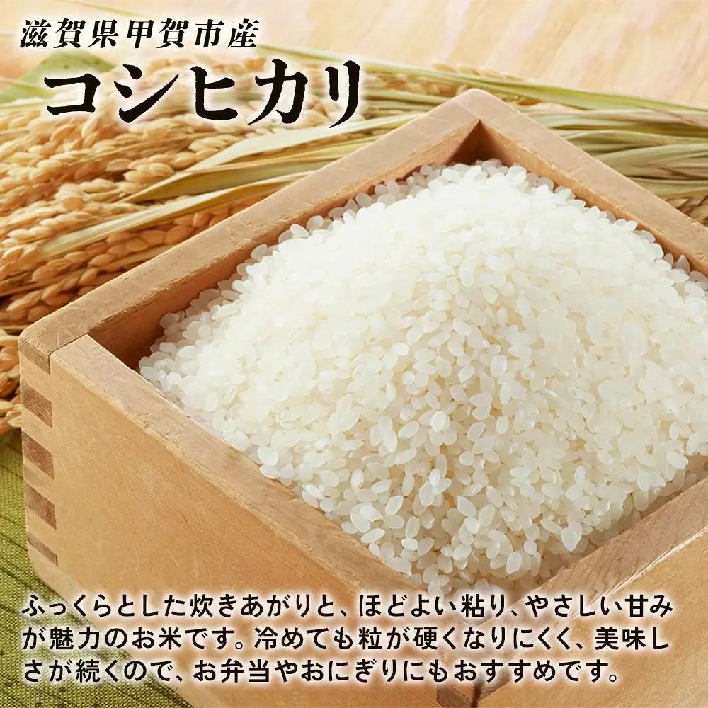 【令和8年産 新米 先行予約】【定期便】近江米コシヒカリ 10kgx12回定期便（精米）※2026年9月～発送