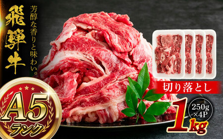 A5等級 飛騨牛 切り落とし 1kg (250g×4P) / 飛騨牛 国産 [AZCW002]