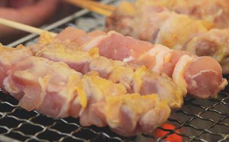 福島ブランド鶏 伊達鶏 むね＆もも串 12本セット おつまみ グルメ チキン BBQ キャンプ バーベキューだてどり 高タンパク F21C-176