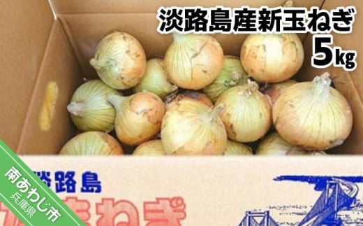 【新玉予約】淡路島産新玉ねぎ 5kg　◆配送2月中旬～