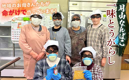 FYN9-645 山形県 西川町産 唐辛子使用！ 月山なんばこ 4種4本セット 調味料 食品 香辛料 スパイス 唐辛子 とうがらし 辛い 手作り 命がけ 山形県 西川町 月山