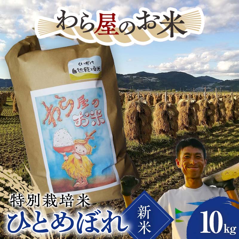 【ふるさと納税】 【令和8年産 新米 先行予約】 【わら屋のお米】 特別栽培米 ひとめぼれ 10kg 《令和8年10月下旬～発送》 『おがわ藁農園』 米 白米 精米 ご飯 農家直送 山形県 南陽市 [2071-R8]
