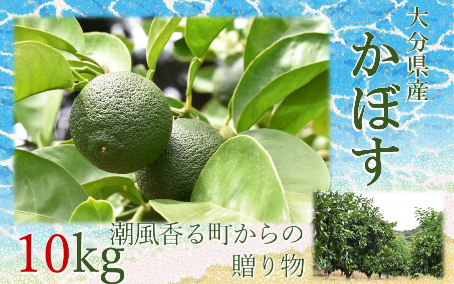 
                  【令和8年9月初旬から発送】潮風香る町の贈り物 大分県産かぼす10kg_1817R
                