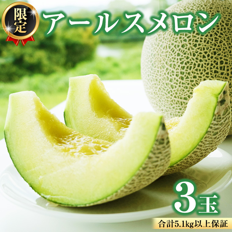 【2026年8月下旬発送開始】 季節 限定 ！ 甘さ満点 アールスメロン 3玉 入箱 果物 フルーツ 農家直送 産直 青肉メロン 特産品 マスクメロン メロン くだもの 茨城 [BC044sa]