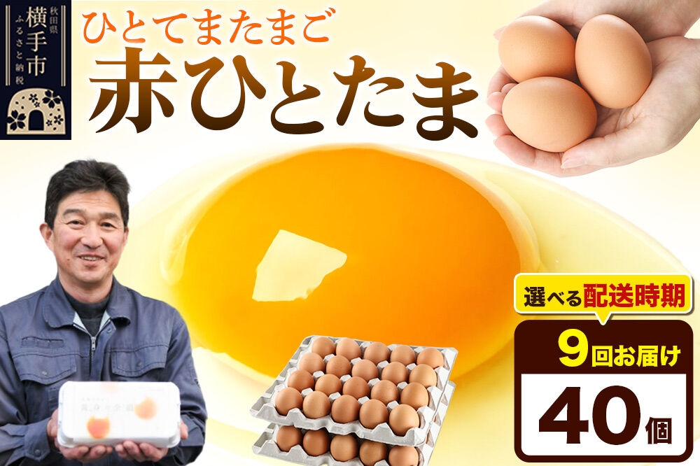 
            《定期便9ヶ月》赤ひとたま 40個（業務用）
          