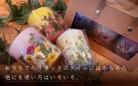 押し花キャンドル 3個 ／ ろうそく ロウソク 蝋燭 野の花 フラワー インテリア 長崎県 長崎市