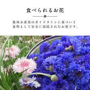 食べられるドライフラワーおまかせ5点セット（ドライエディブルフラワー）　A-G13　87farm 東近江