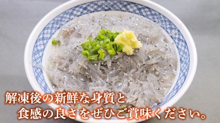 【先行予約 2026年5月発送予定】凍眠 冷凍 生しらす 約1kg 訳あり しらす 小分け 国産