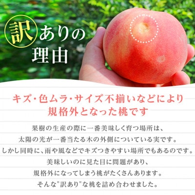 2027年発送 先行受付【訳あり】山梨もも2kg以上 5～8玉 熟練農家厳選の旬の桃 ご家庭用【配送不可地域：離島・沖縄県】