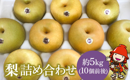 【先行予約】糖度計使用 梨詰め合わせ 5kg (約10個前後) なし 幸水 豊水 菊水 フルーツ くだもの ギフト プレゼント 贈答品 大分県産 九州産 中津市