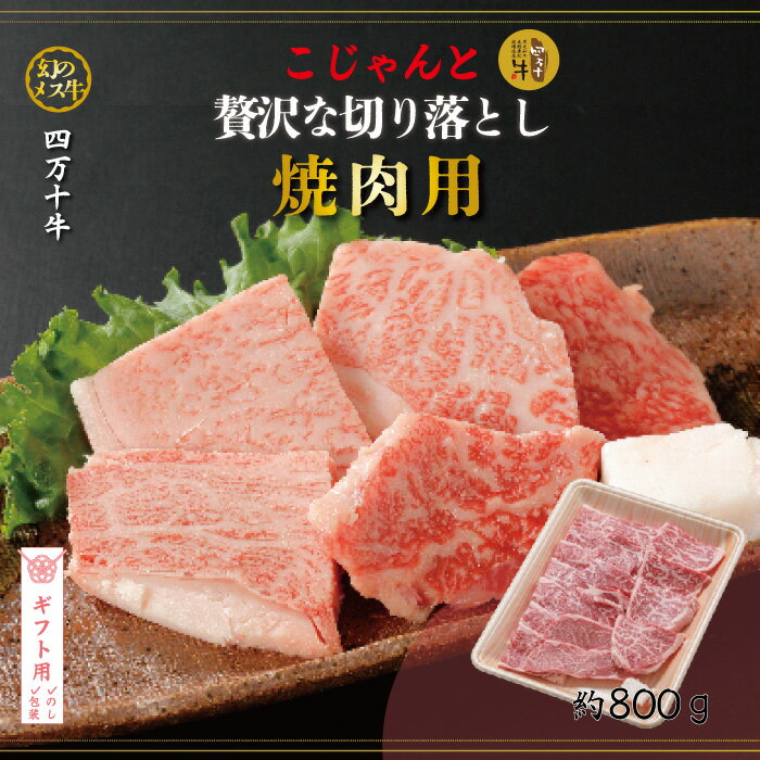 【ギフト用（包装・のし対応）】【ふるさと納税】26-019G．幻のメス牛　四万十牛こじゃんと贅沢な切り落とし（焼肉用・800g）国産 高知 しまんと 四万十 牧場直売 肉 牛肉 黒毛和牛 ご褒美 焼肉 バーベキュー BBQ 包装 のし サマーギフト お中元 残暑見舞い 暑中見舞い