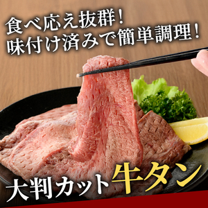 牛タン特大大判カット1kg（250g×4） 牛肉 たん 【牛タン】【ho1443】