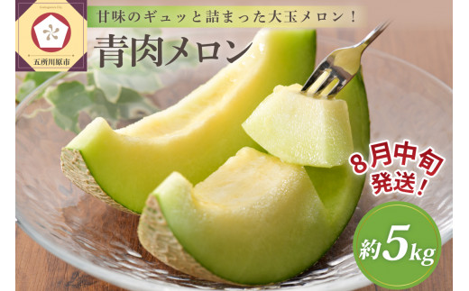 【2026年8月中旬発送】津軽産青肉メロンご家庭用約5kg3～6玉【青森メロン】