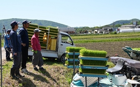 【12回定期便】《 先行予約 》 きぬひかり 京丹波町産 10kg 12カ月定期便　令和8年産米
