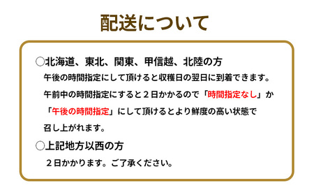 完熟で香り高い！秋田のイチゴ(1パック) ＜15個／揺りかごパック＞　 50P3423