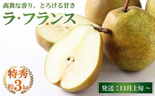 【令和7年産先行予約】 JA ラ・フランス 約3kg (8～10玉 特秀)《令和7年11月上旬～12月上旬発送》 『JA山形おきたま』 洋梨 果物 フルーツ 山形県 南陽市 [1177-R7]