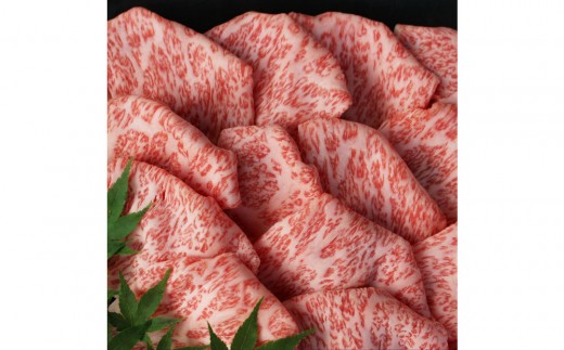 
                  博多和牛　特選しゃぶしゃぶ(400g)
                
