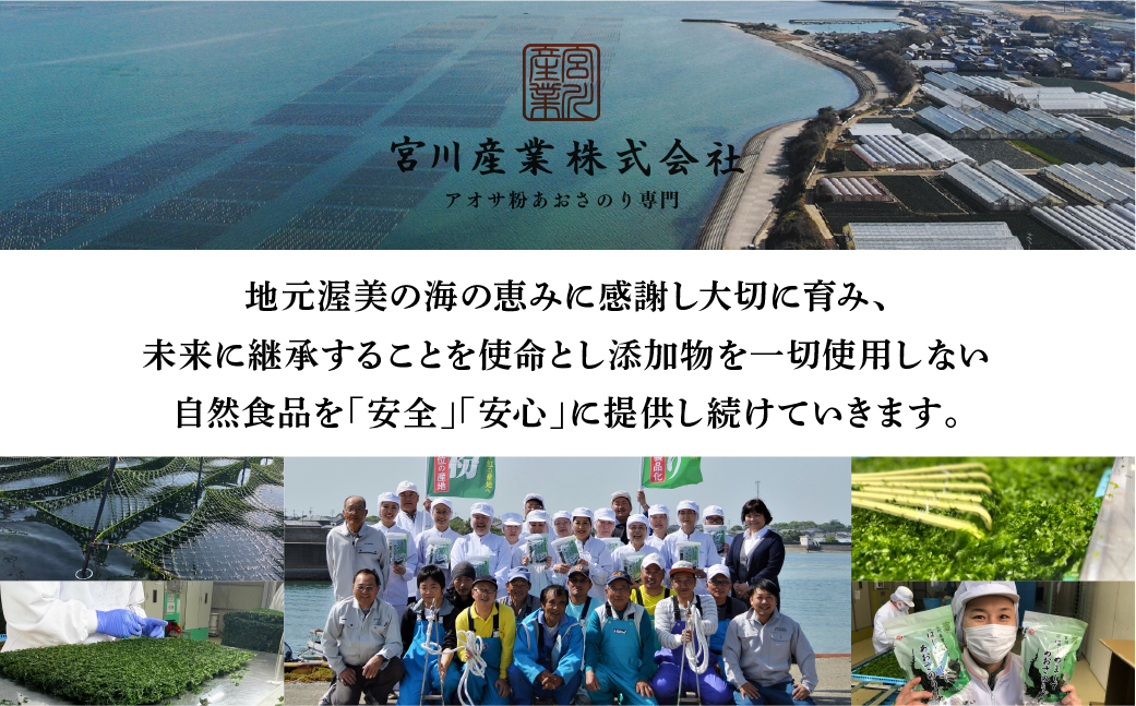 訳あり あおさ 300g 100g×3袋 簡易包装 愛知県 三河湾産 「はじめまして あおさのり です。」あおさ海苔 海苔 味噌汁 みそ汁 具 海藻類 アオサ 訳アリ 大容量 送料無料 国産 食品 田