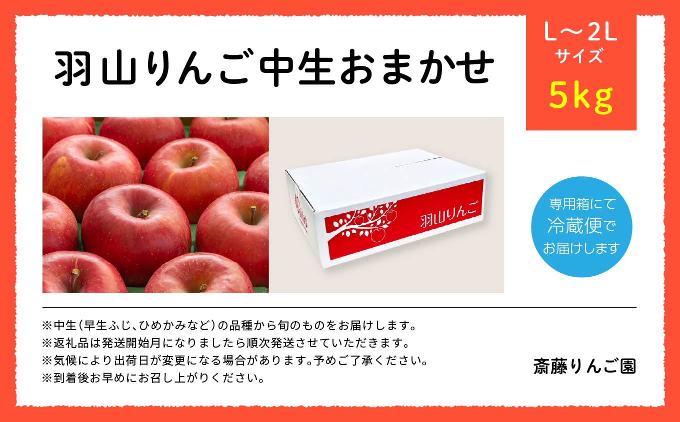 《2025年10月以降順次発送》羽山のりんご　中生おまかせL〜2Lサイズ5kg【斎藤りんご園】