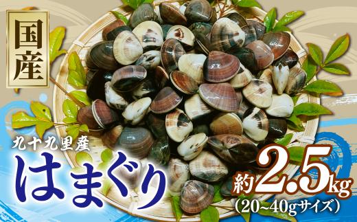 はまぐり 約2.5kg (約500g 【20~40gサイズ】× 5P)  砂抜き済み 液体冷凍 千葉県 九十九里 産 味噌汁 酒蒸し だし ダシ 出汁 クラムチャウダー  天然 旨味 美味しい 贅沢 ご褒美 豪華 ギフト プレゼント 贈答 記念日 家族 友人  お祝い 祝い 送料無料 ふるさと納税 治吉水産 メディア 千葉県 旭市 hys004