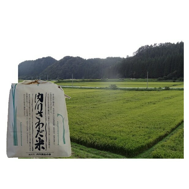 【ふるさと納税】内川さわだ米（あきたこまち精米）5kg 秋田県五城目町産　【お米・あきたこまち】