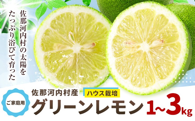 
                  訳あり グリーンレモン 山本農園 《6月上旬-8月中旬頃出荷》選べる容量 1kg 2kg 3kg レモン フルーツ 佐那河内 さなごうち ジューシー 柑橘 ご家庭用 サラダ お酒 ジュース
                