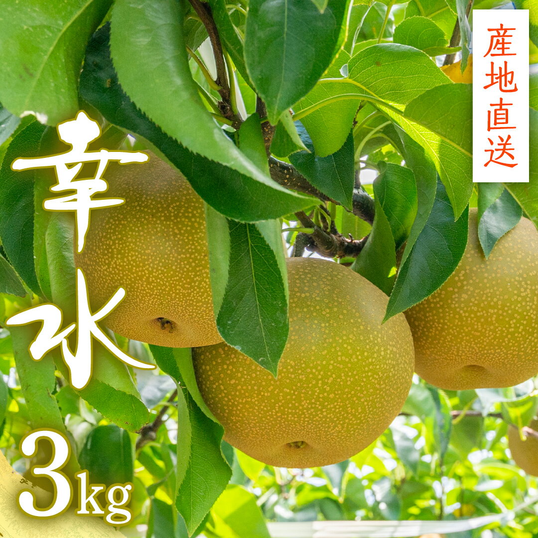 【ふるさと納税】【 産地直送 】 幸水 3kg 先行予約 梨 フルーツ 果物 国産 日本産 梨 ナシ なし 和梨